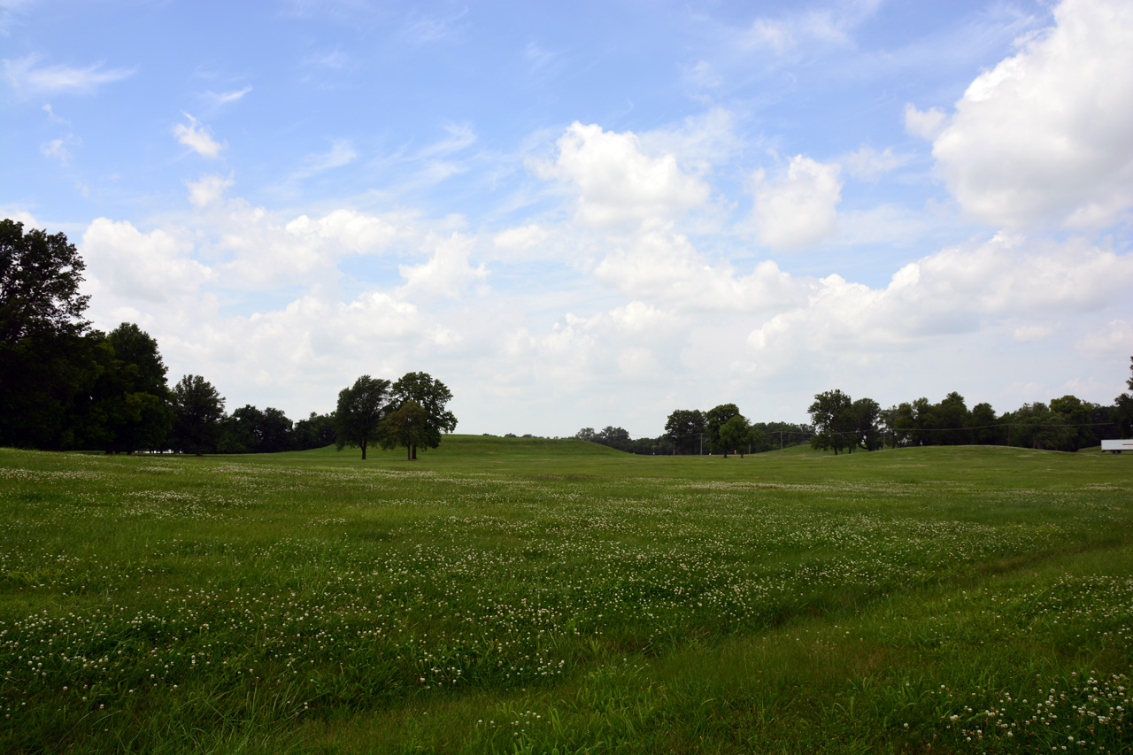 2014-06-17, 048, Cahokia Mounds SP, IL