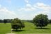 2014-06-17, 031, Cahokia Mounds SP, IL