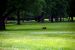 2014-06-17, 052, Cahokia Mounds SP, IL