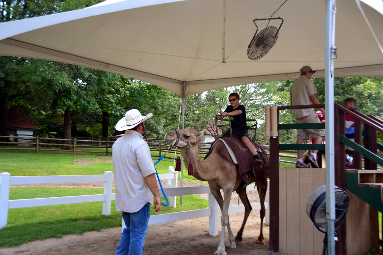 2014-07-04, 044, Grant's Farm, St Louis, MO