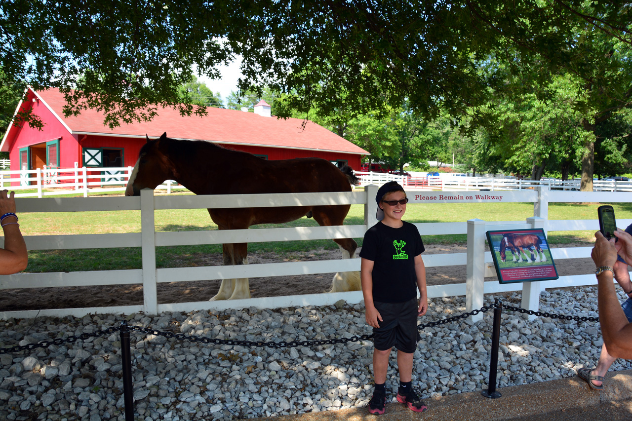 2014-07-04, 060, Grant's Farm, St Louis, MO