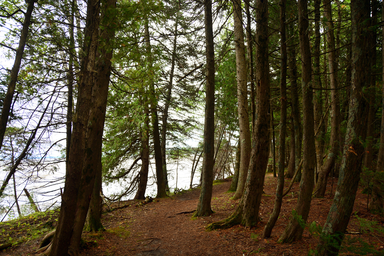 2014-08-16, 011, Indian Lake State Park, MI