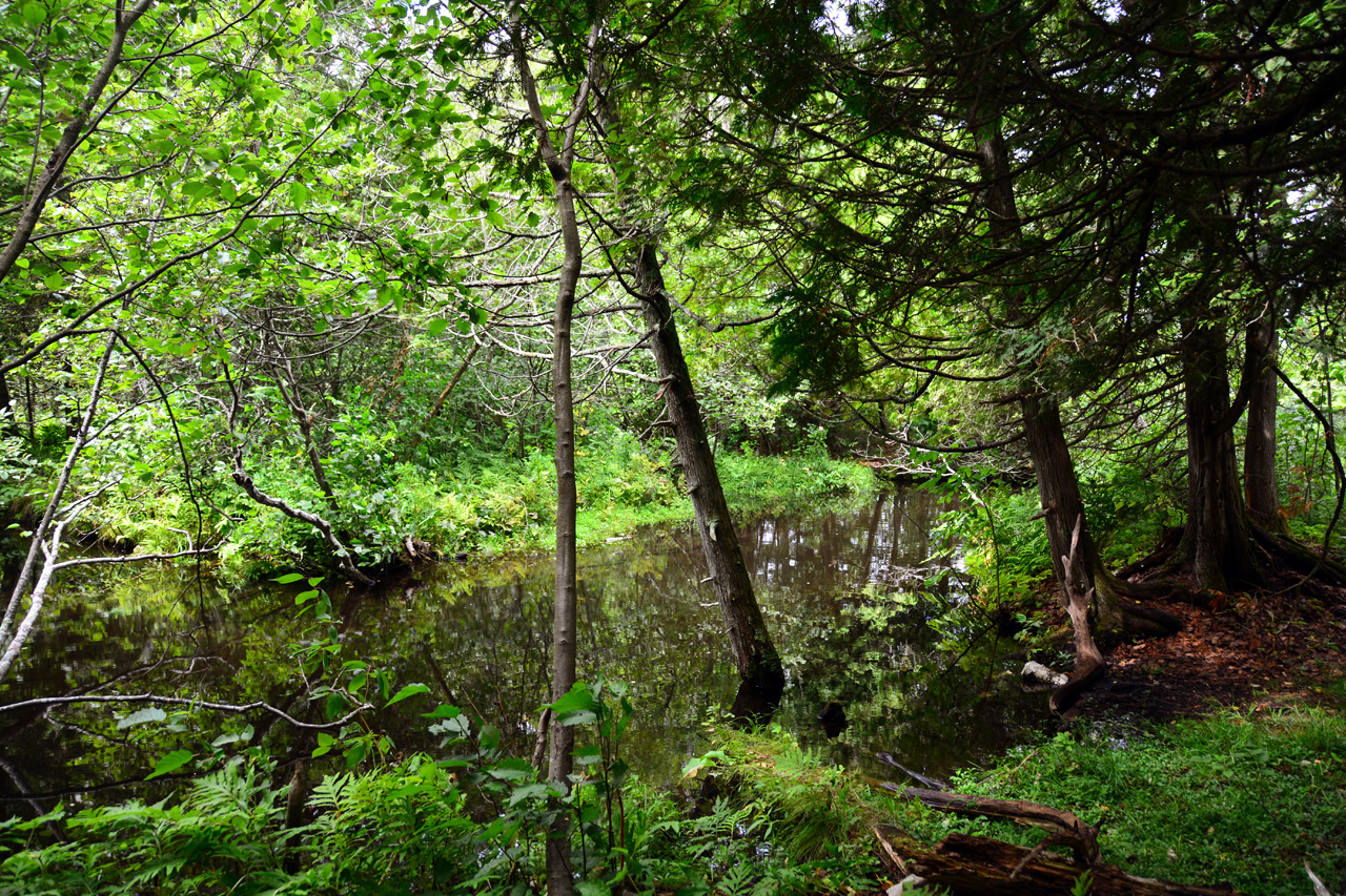 2014-08-16, 014, Indian Lake State Park, MI