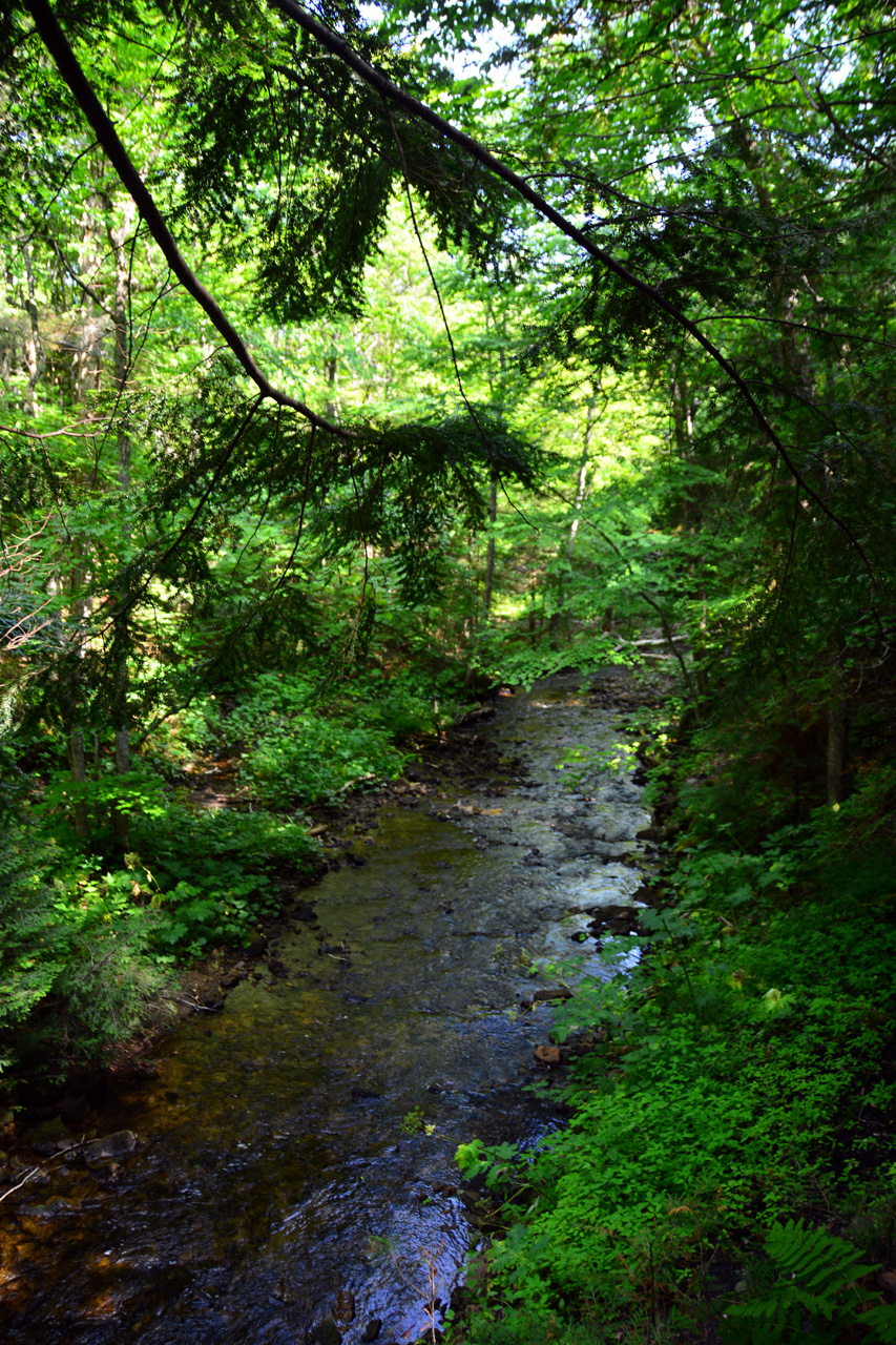 2014-08-15, 006, Mosquito Falls, Pictured Rocks NS, MI