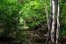 2014-08-15, 011, Mosquito Falls, Pictured Rocks NS, MI