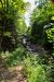 2014-08-15, 076, Sable Falls, Pictured Rocks NS, MI