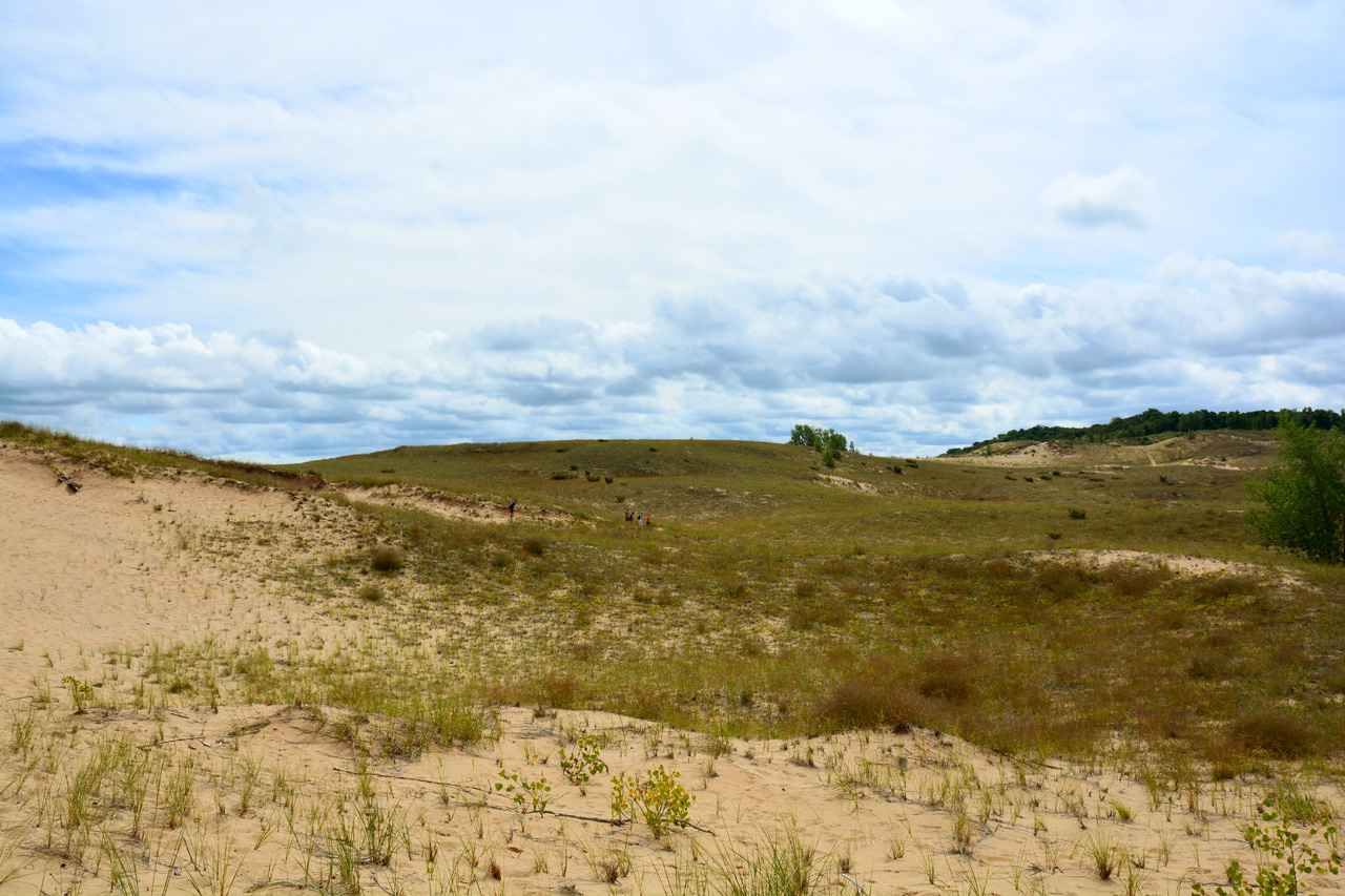 2014-08-20, 017, Cottonwood Trail, Dunes, SBD NL