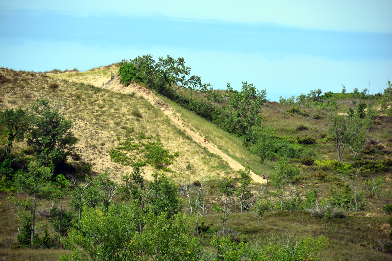 2014-08-20, 030, Cottonwood Trail, Dunes, SBD NL