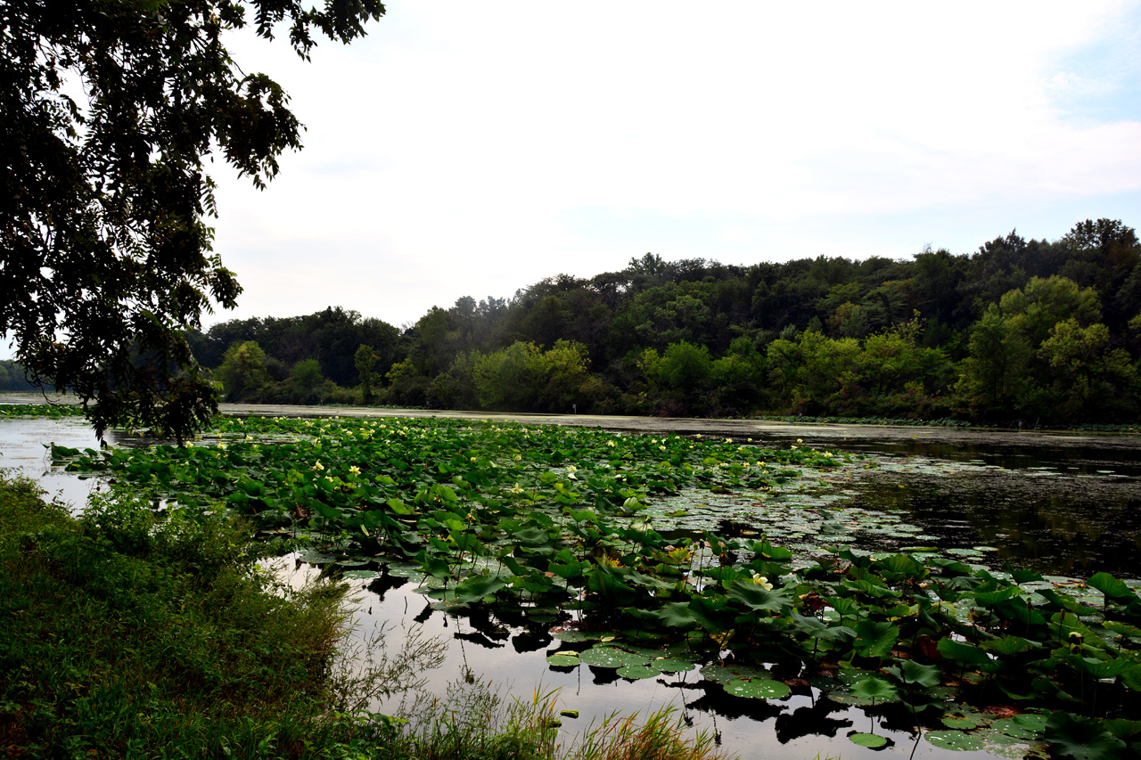 2014-08-28, 003, Lock 24, Hennepin Canal, IL