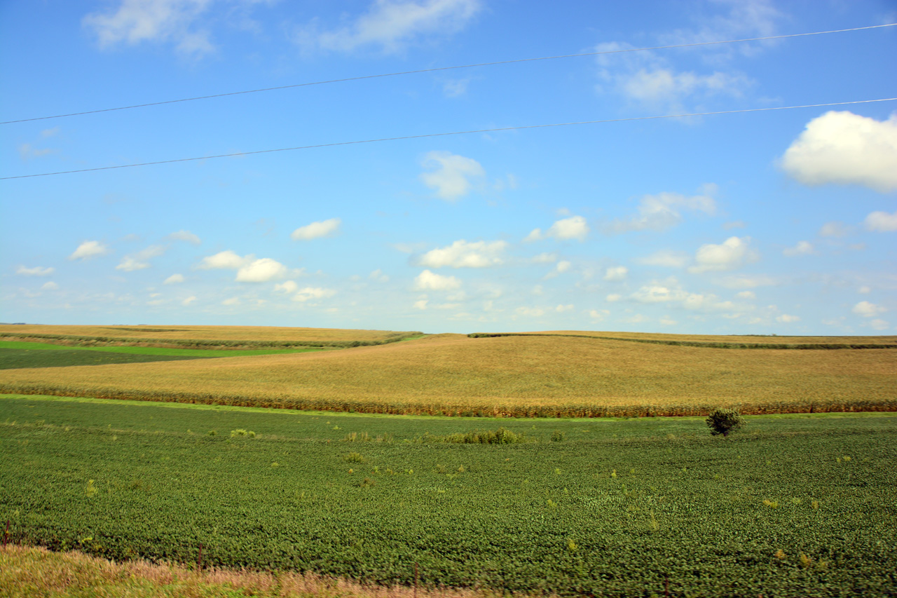 2014-09-03, 014, Farm Land, Corn for Ever, IA