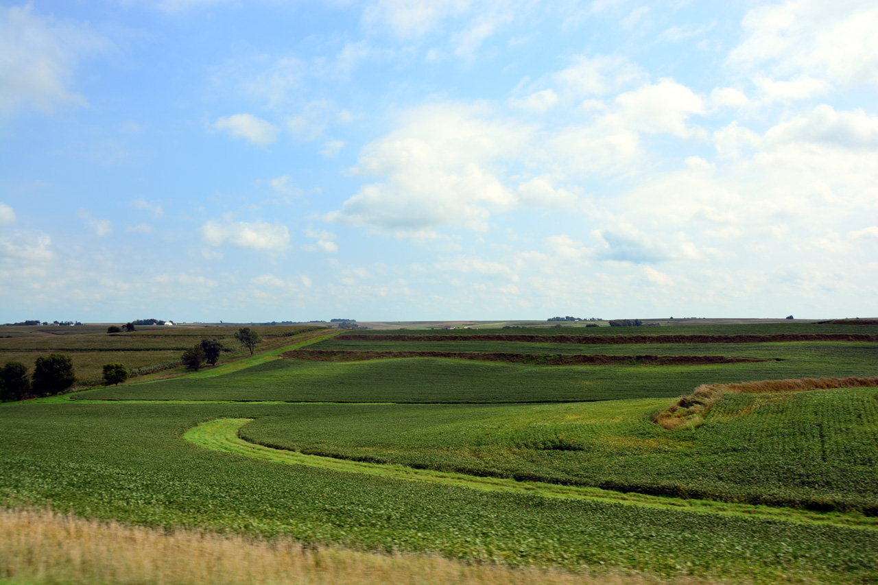 2014-09-03, 019, Farm Land, Corn for Ever, IA