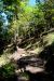 2014-09-14, 012, Devils Den Trail