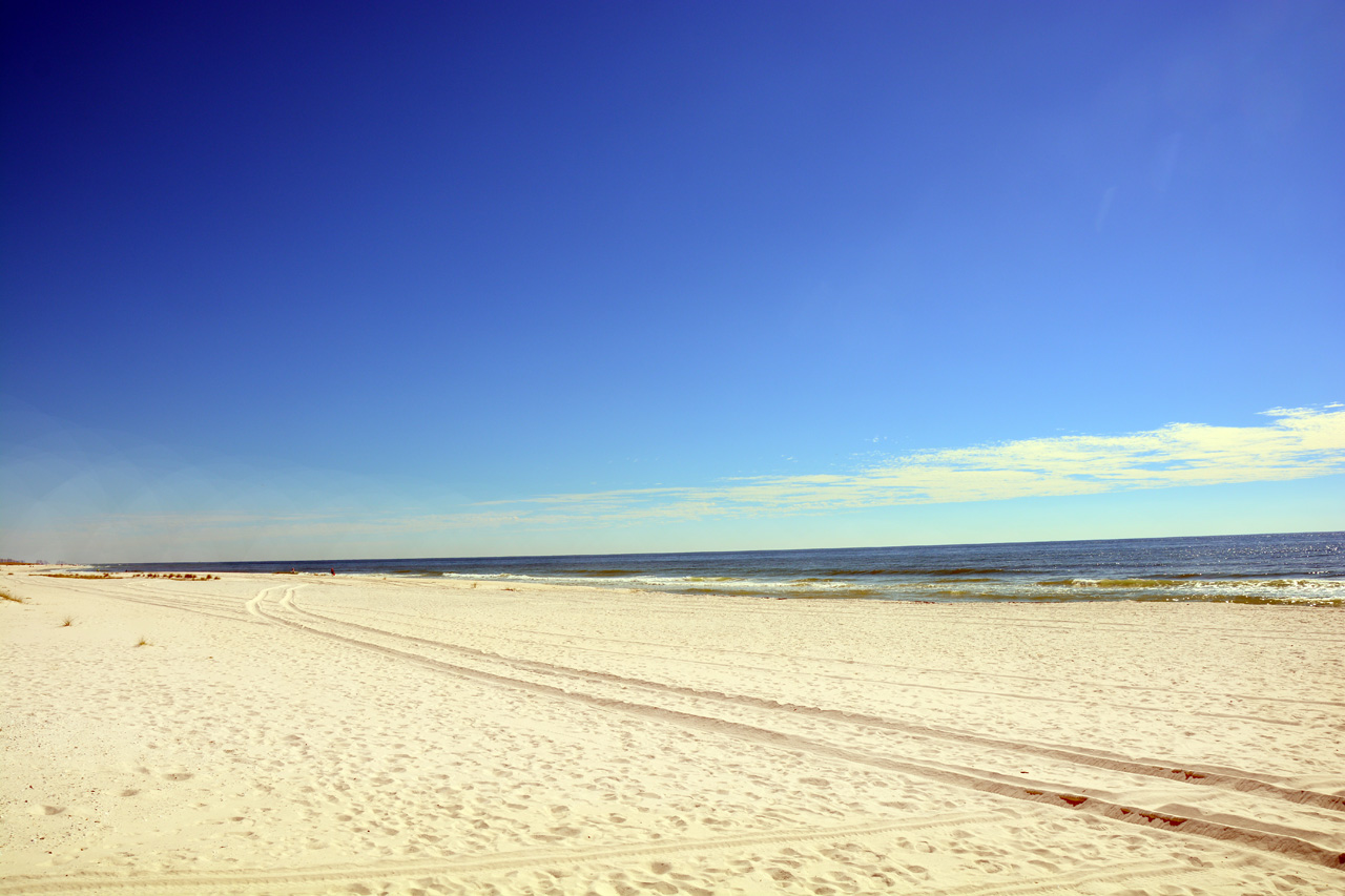 2014-10-24, 042, Local Beach, Gulf SP, AL