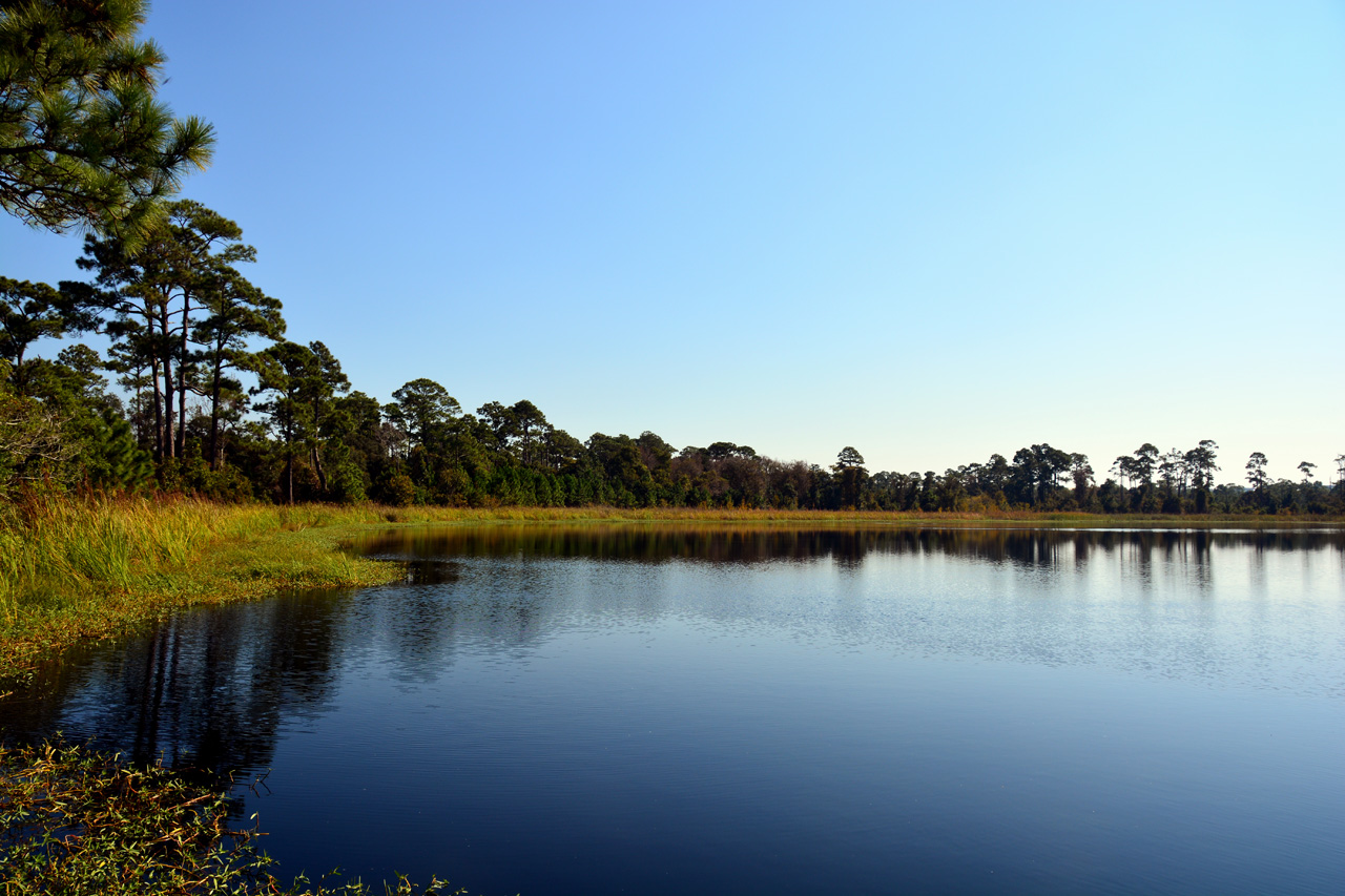 2014-10-27, 003, Little Lake, Gulf SP, AL