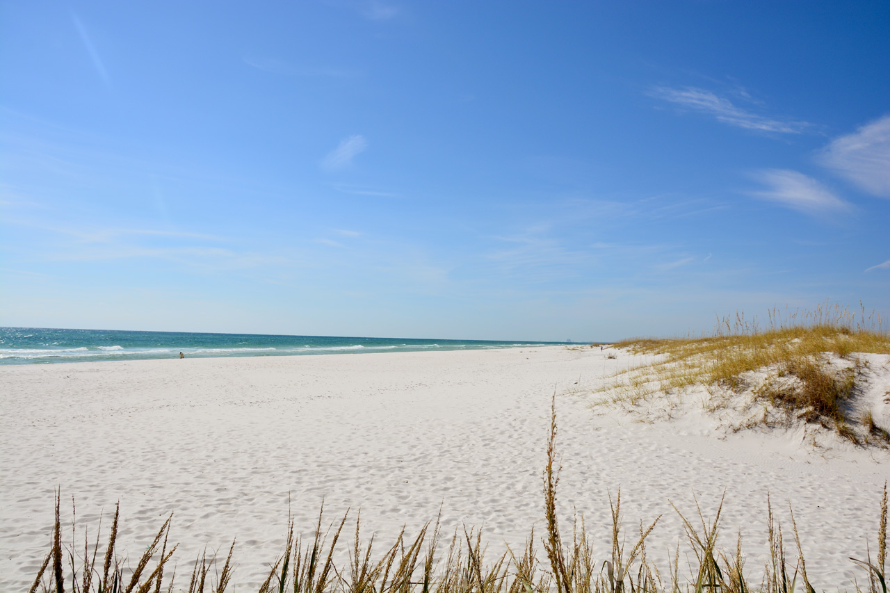 2014-11-03, 001, Along Beach, Santa Rose Island, FL