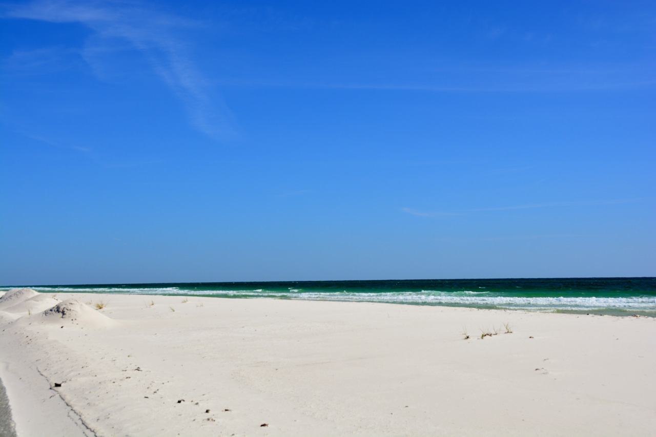 2014-11-03, 004, Along Beach, Santa Rose Island, FL