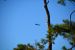 2014-11-07, 002, Blue Angels Practice Overhead