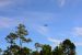 2014-11-07, 014, Blue Angels Practice Overhead