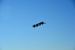 2014-11-09, 045, Blue Angels Overhead