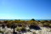 2014-10-31, 062, Battery Cooper, Santa Rosa Island