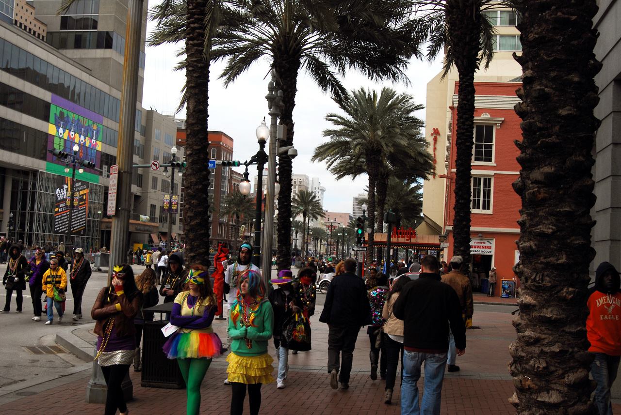 2015-02-17, 002, Mardi Gras in New Orleans, LA