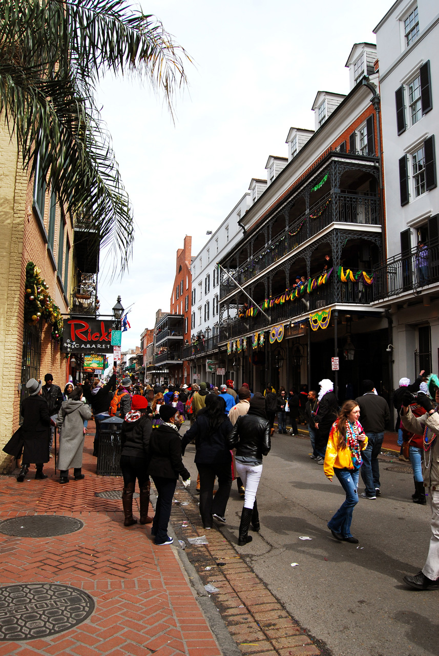 2015-02-17, 019, Mardi Gras in New Orleans, LA