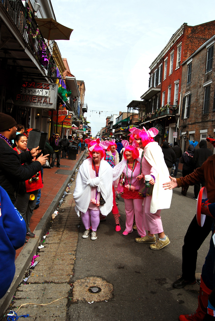 2015-02-17, 028, Mardi Gras in New Orleans, LA
