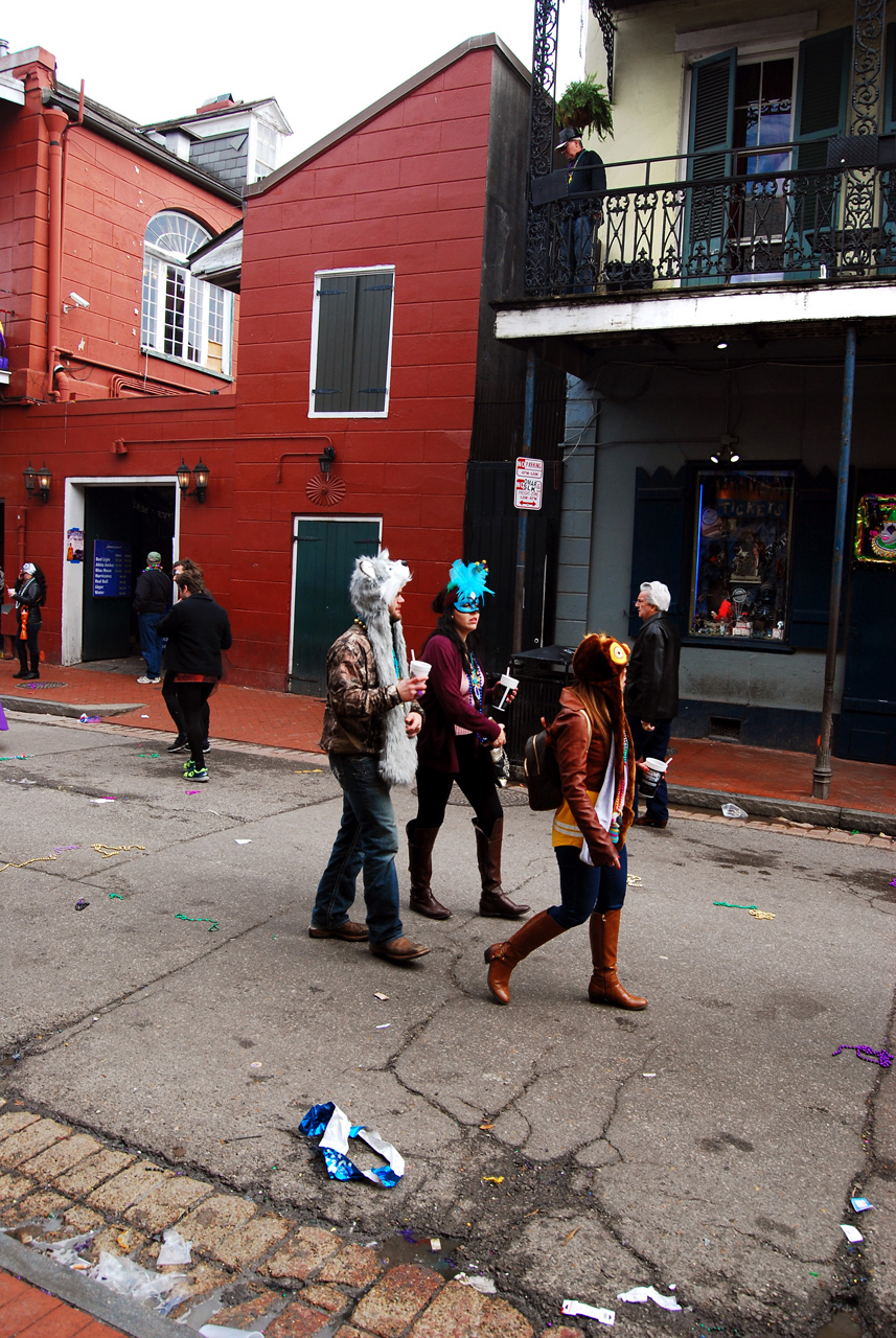 2015-02-17, 057, Mardi Gras in New Orleans, LA