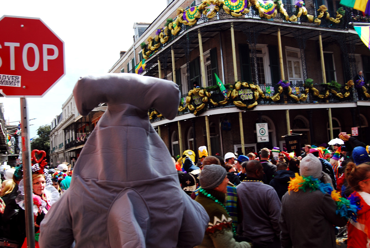 2015-02-17, 068, Mardi Gras in New Orleans, LA