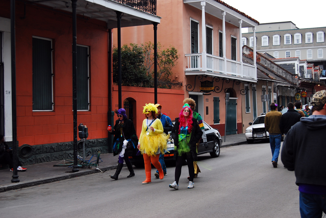 2015-02-17, 146, Mardi Gras in New Orleans, LA