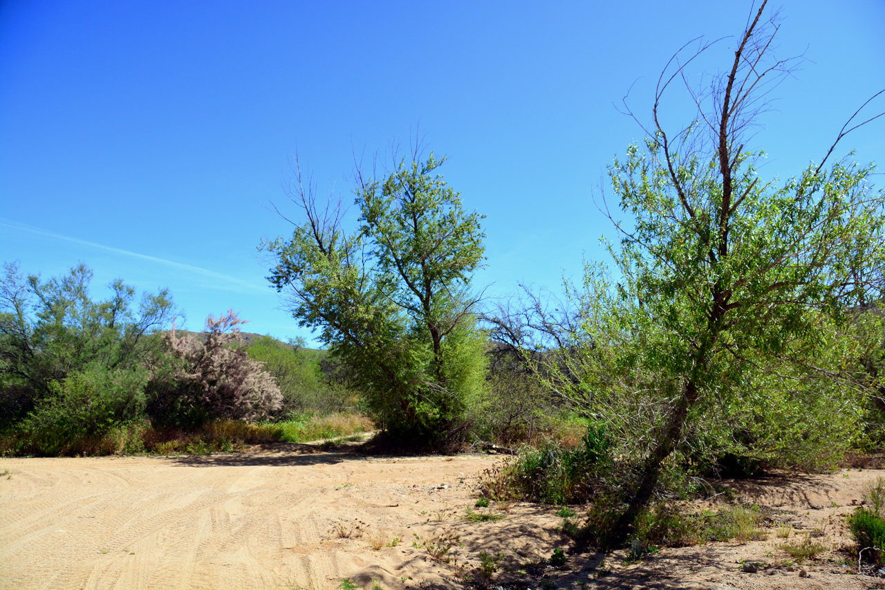 2015-04-03, 010, Agua Fria National Monument, AZ