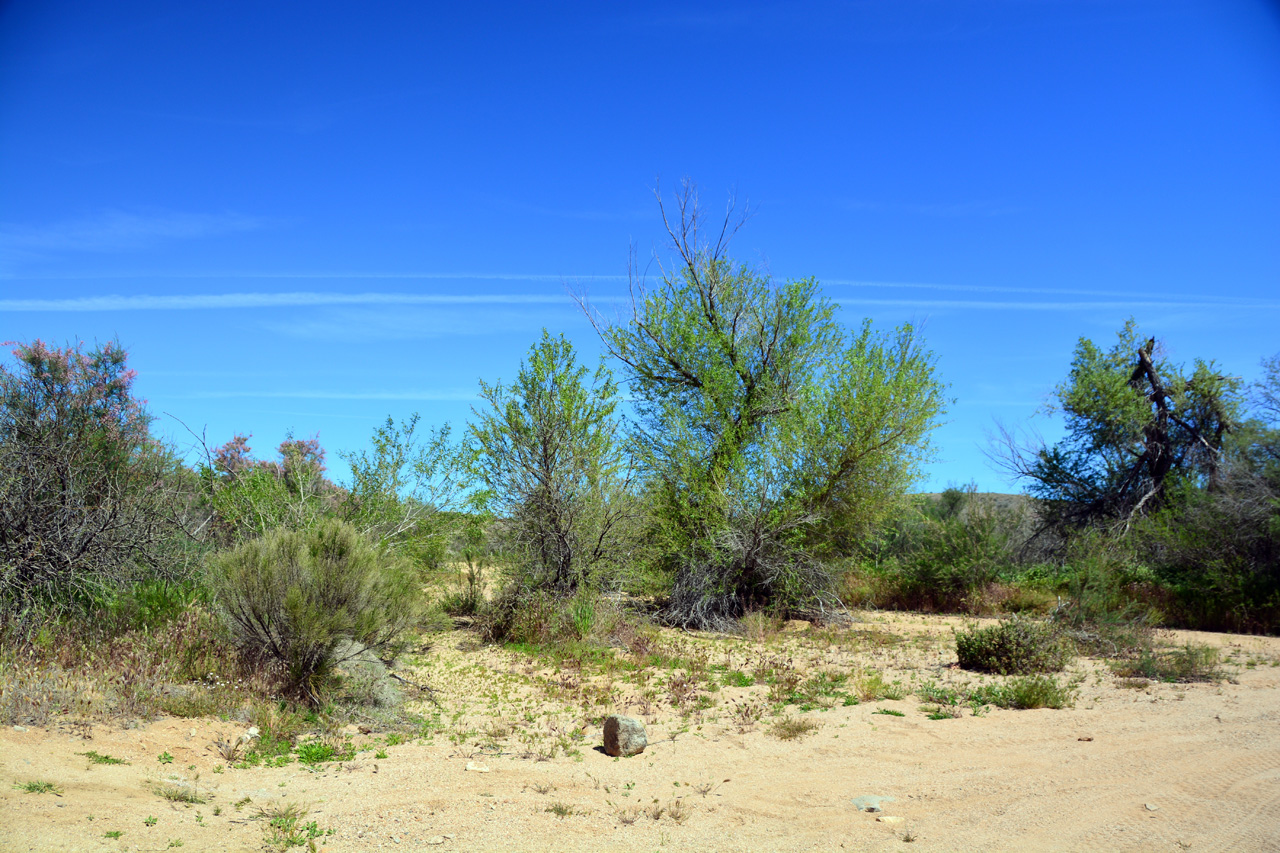 2015-04-03, 011, Agua Fria National Monument, AZ