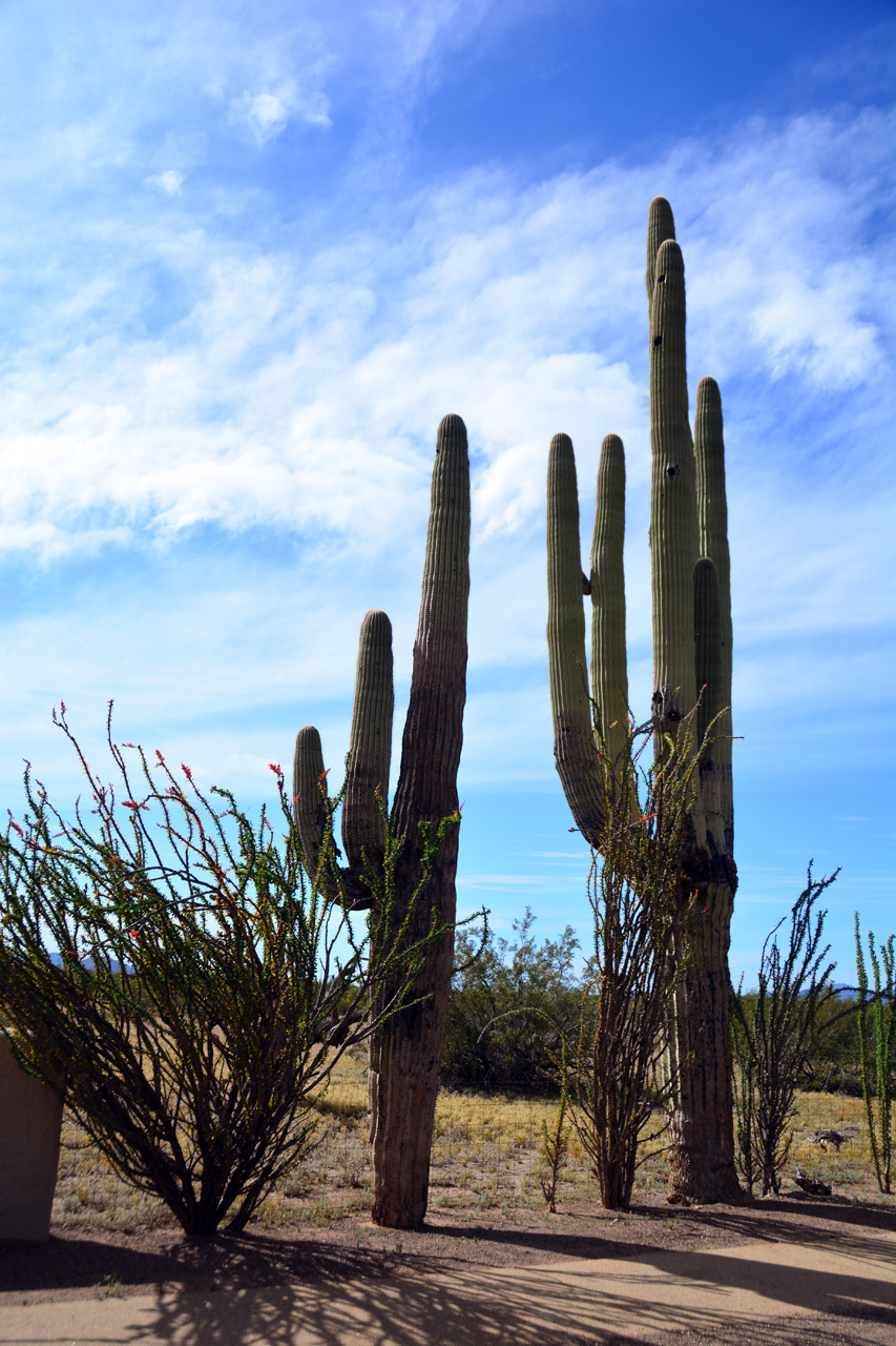 2015-03-29, 003, Casa Grande Ruins NM, AZ