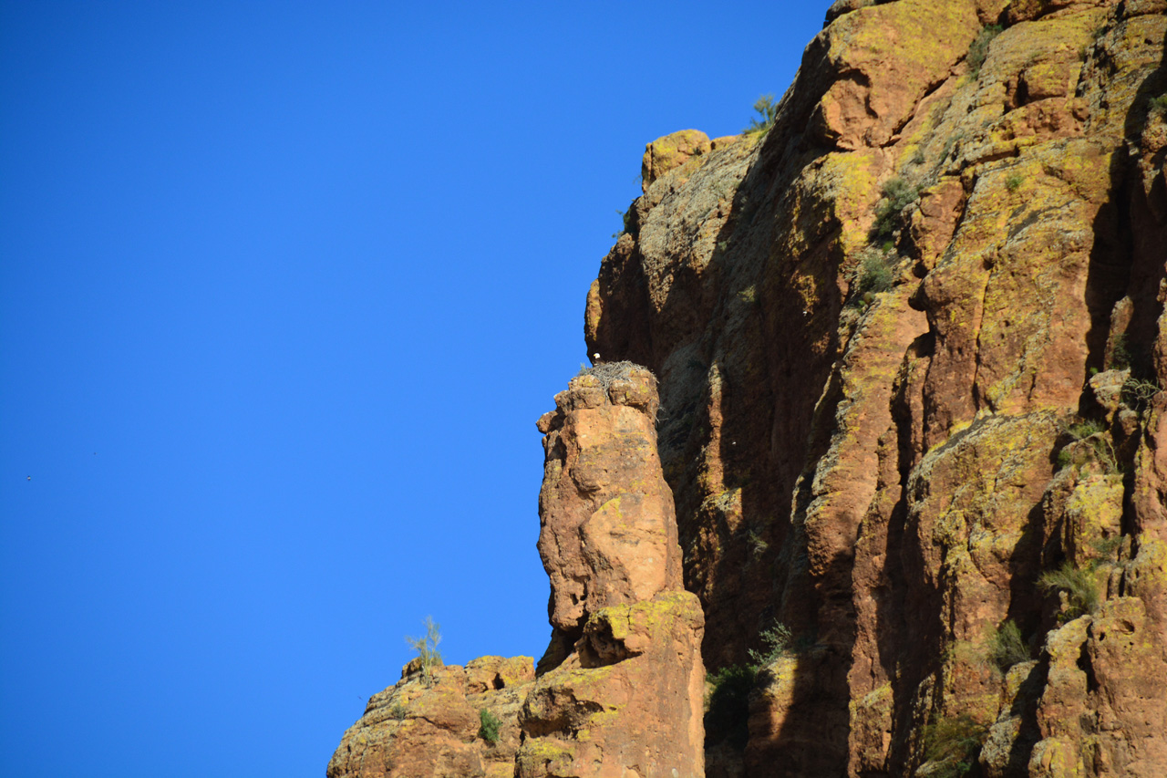 2015-03-26, 039, Dolly Steemboat, Tonto NF