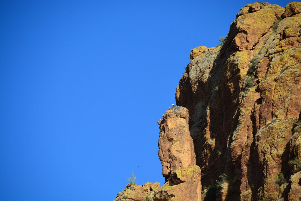 2015-03-26, 040, Dolly Steemboat, Tonto NF