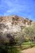 2015-04-03, 019, Montezuma Castle National Mounment, AZ