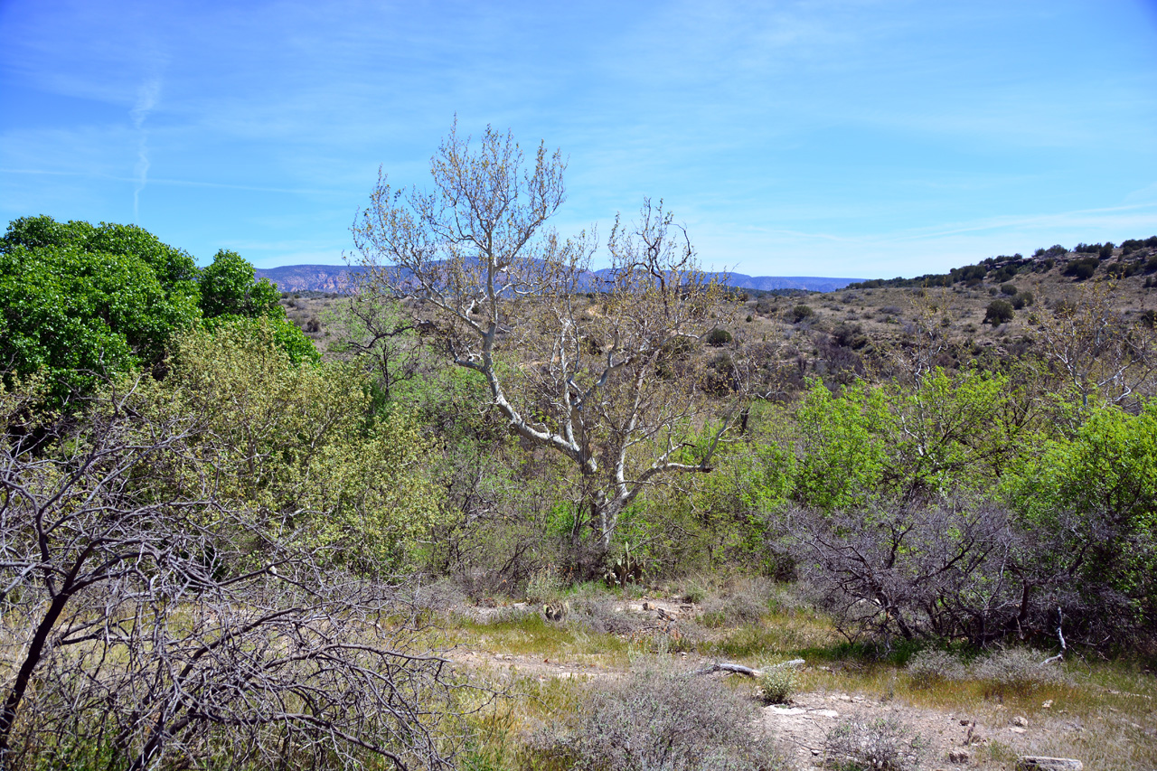 2014-04-03, 028, Montezuma Well National Monument, AZ