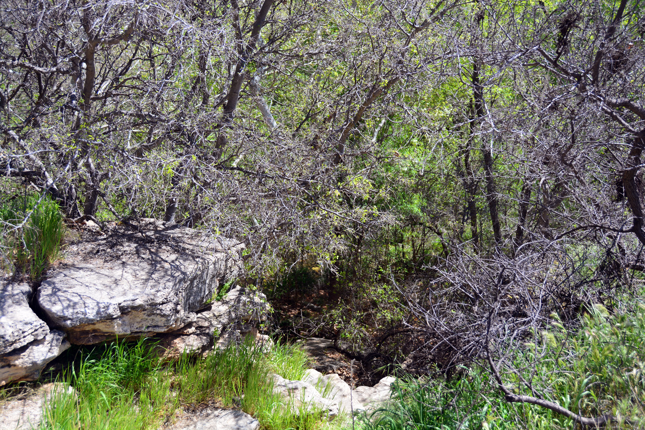 2014-04-03, 029, Montezuma Well National Monument, AZ