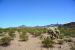 2015-04-08, 006, Ajo Mtn, Dr, Organ Pipe Cactus NP, AZ