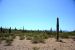 2015-04-08, 008, Ajo Mtn, Dr, Organ Pipe Cactus NP, AZ