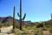 2015-04-08, 021, Ajo Mtn, Dr, Organ Pipe Cactus NP, AZ