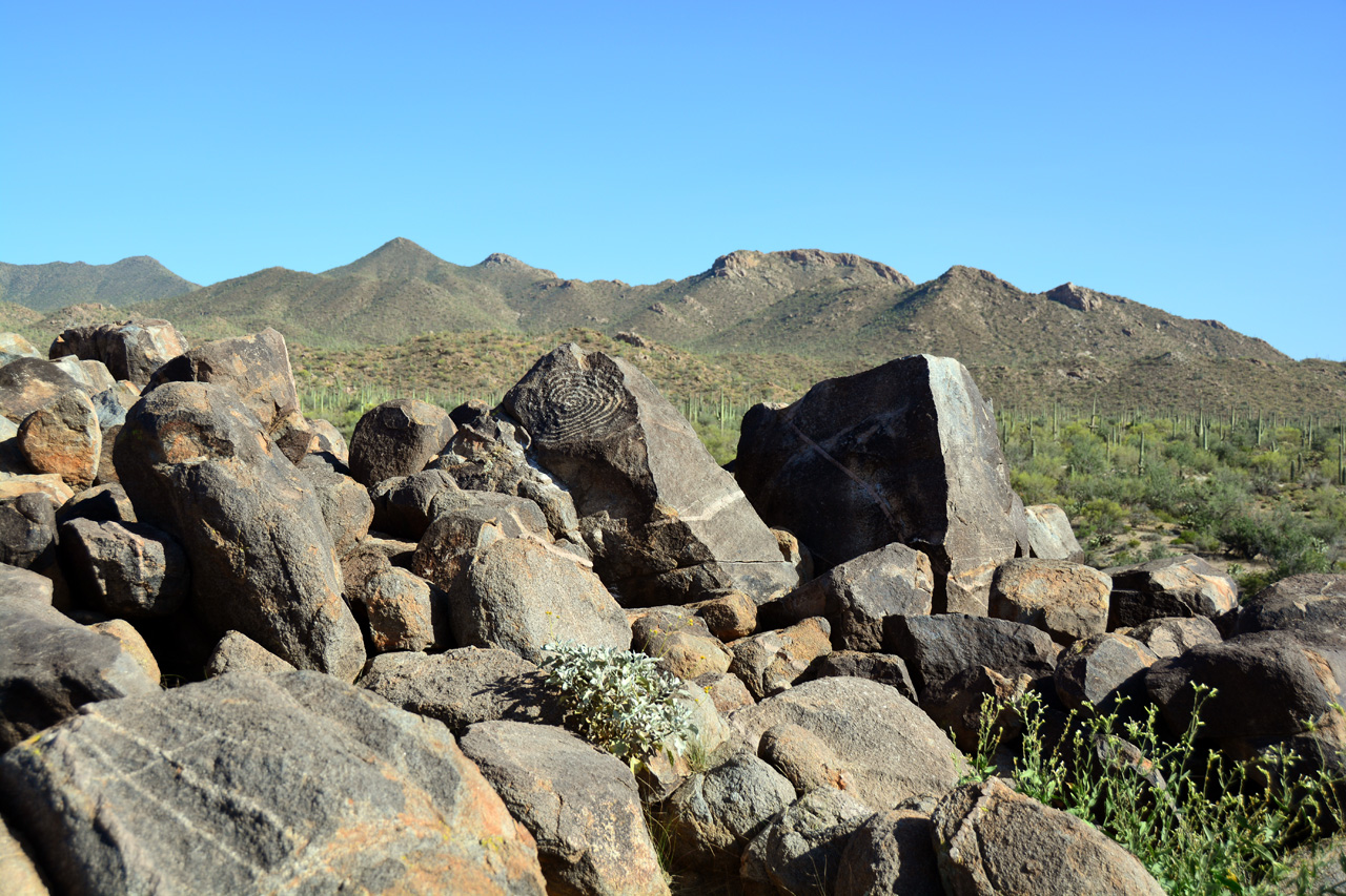 2015-04-08, 023, Hohokam Rd, Saguaro NP, AZ