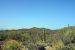 2015-04-08, 007, Hohokam Rd, Saguaro NP, AZ