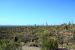 2015-04-08, 020, Hohokam Rd, Saguaro NP, AZ