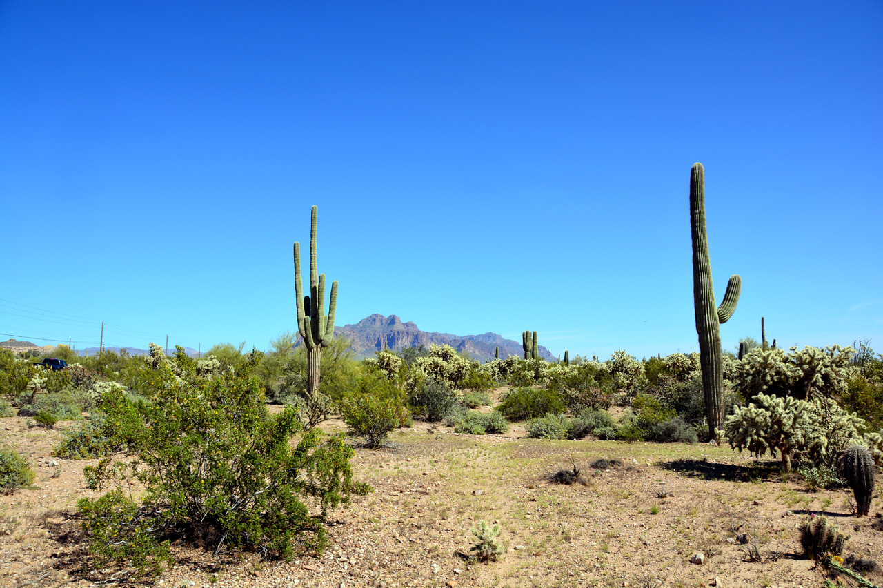 2015-03-26, 001, Tonto National Forest, AZ