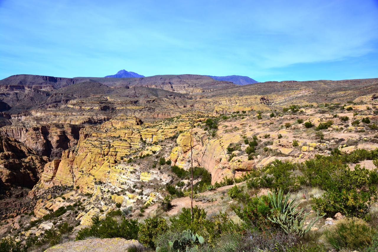 2015-03-26, 009, Tonto National Forest, AZ