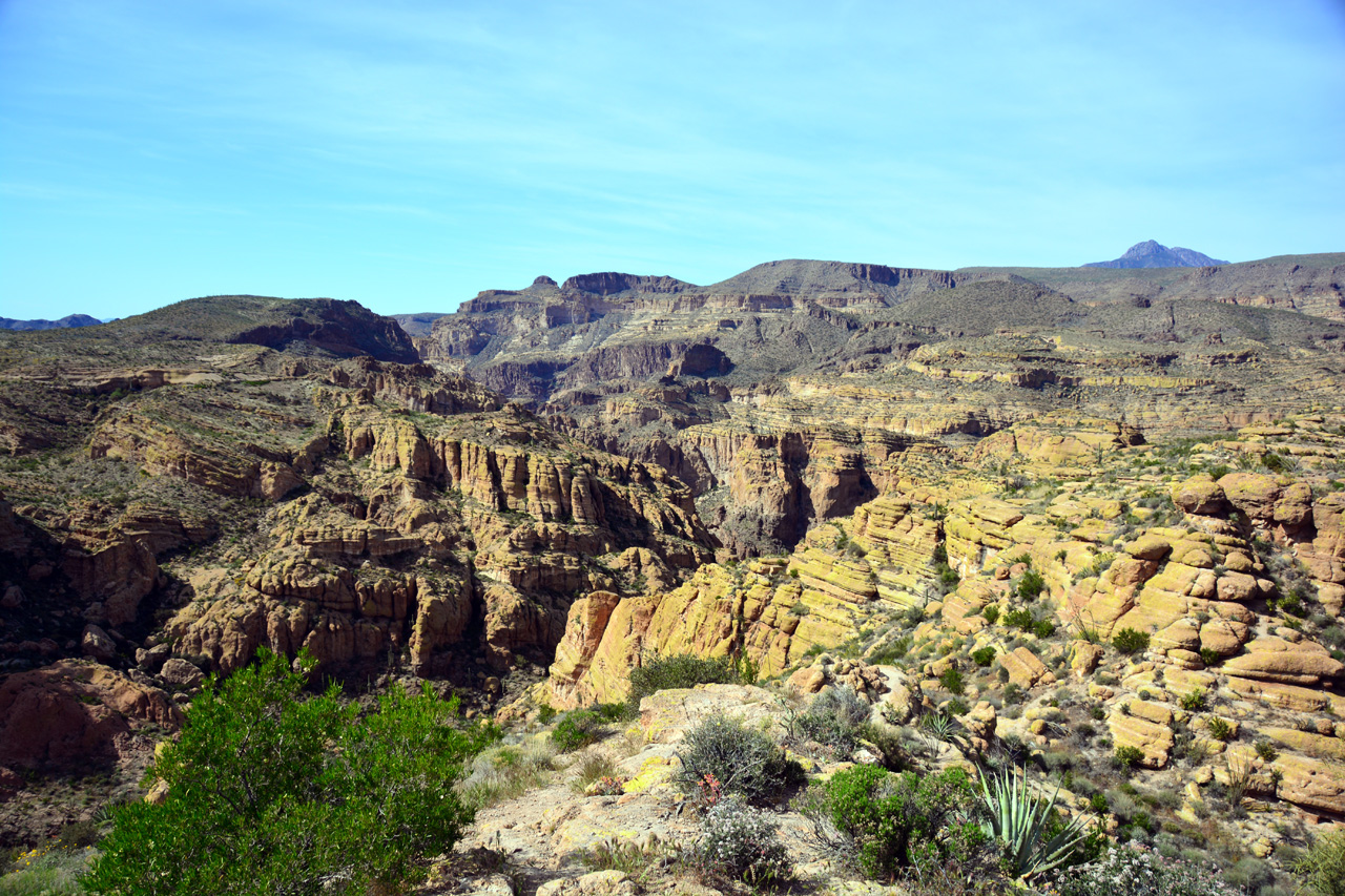 2015-03-26, 013, Tonto National Forest, AZ