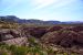 2015-03-26, 012, Tonto National Forest, AZ