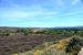 2015-04-03, 027, Tuzigoot National Monument, AZ