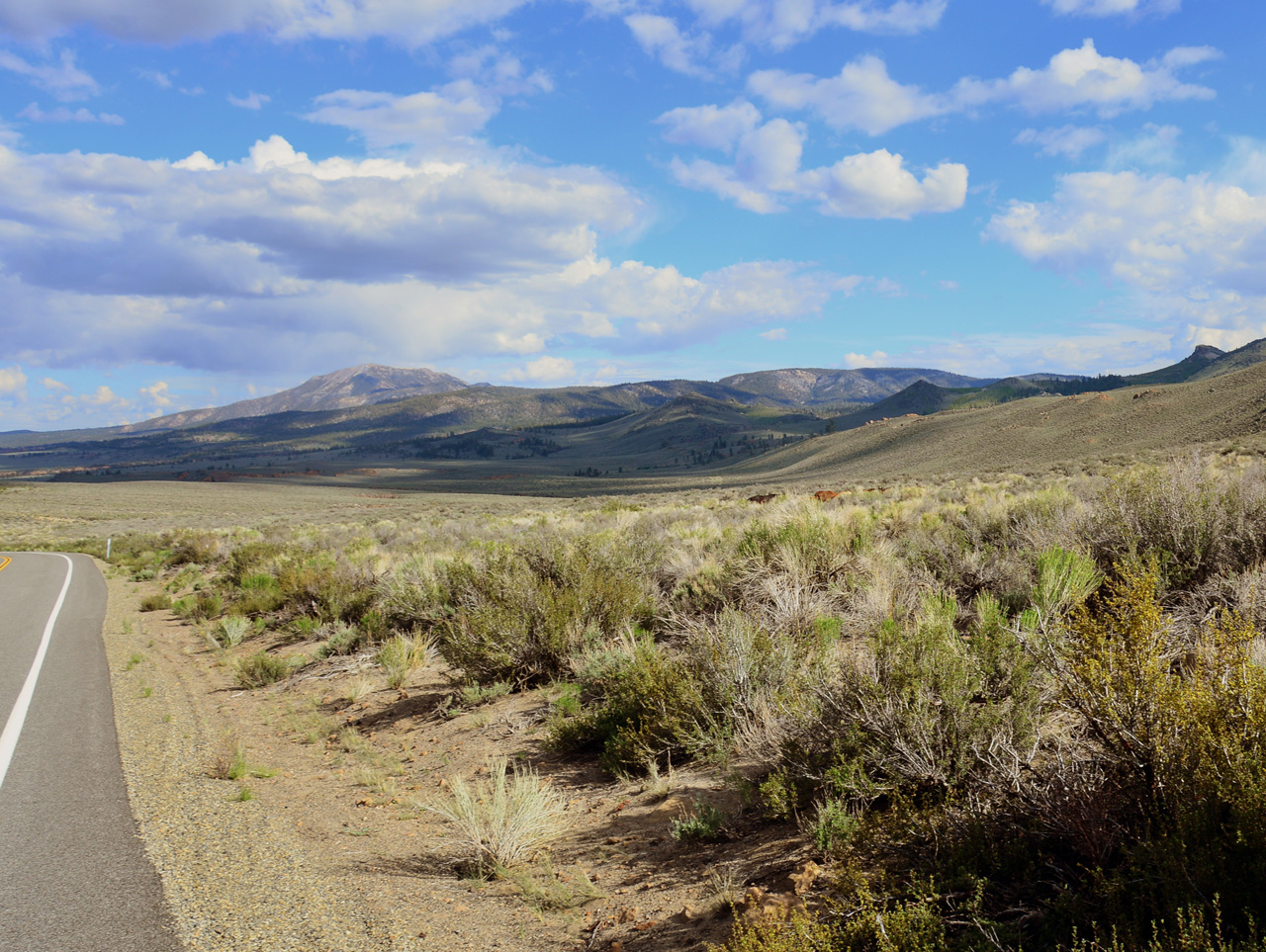 2015-06-12, 003, Wild Horses, Along CA-120.JPG